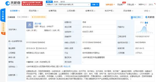 計(jì)算機(jī)軟件的技術(shù)開(kāi)發(fā)與銷售 創(chuàng)新驅(qū)動(dòng)與市場(chǎng)拓展的雙輪驅(qū)動(dòng)